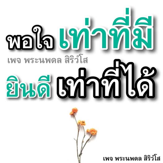 การ์ด No.12139:พระนพดล สิริวํโส