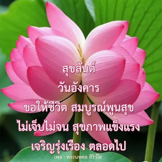 ร่วมเฉลิมฉลองวันอังคารด้วยความสุขและความเจริญรุ่งเรือง ขอให้ชีวิตของทุกคนเต็มไปด้วยความสมบูรณ์พูนสุข ไม่เจ็บไม่จน และสุขภาพแข็งแรงตลอดไป กับเพจพระนพดล สิริวํโส