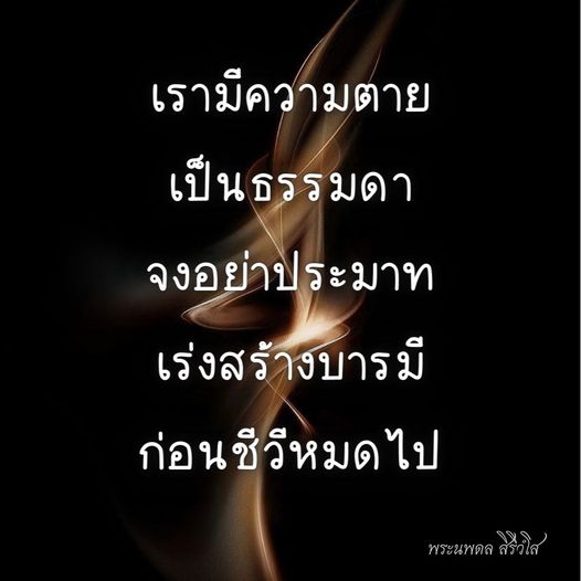 การ์ด No.8613:พระนพดล สิริวํโส