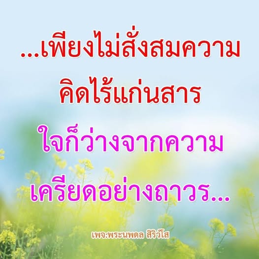 ภาพ No.13817:พระนพดล สิริวํโส