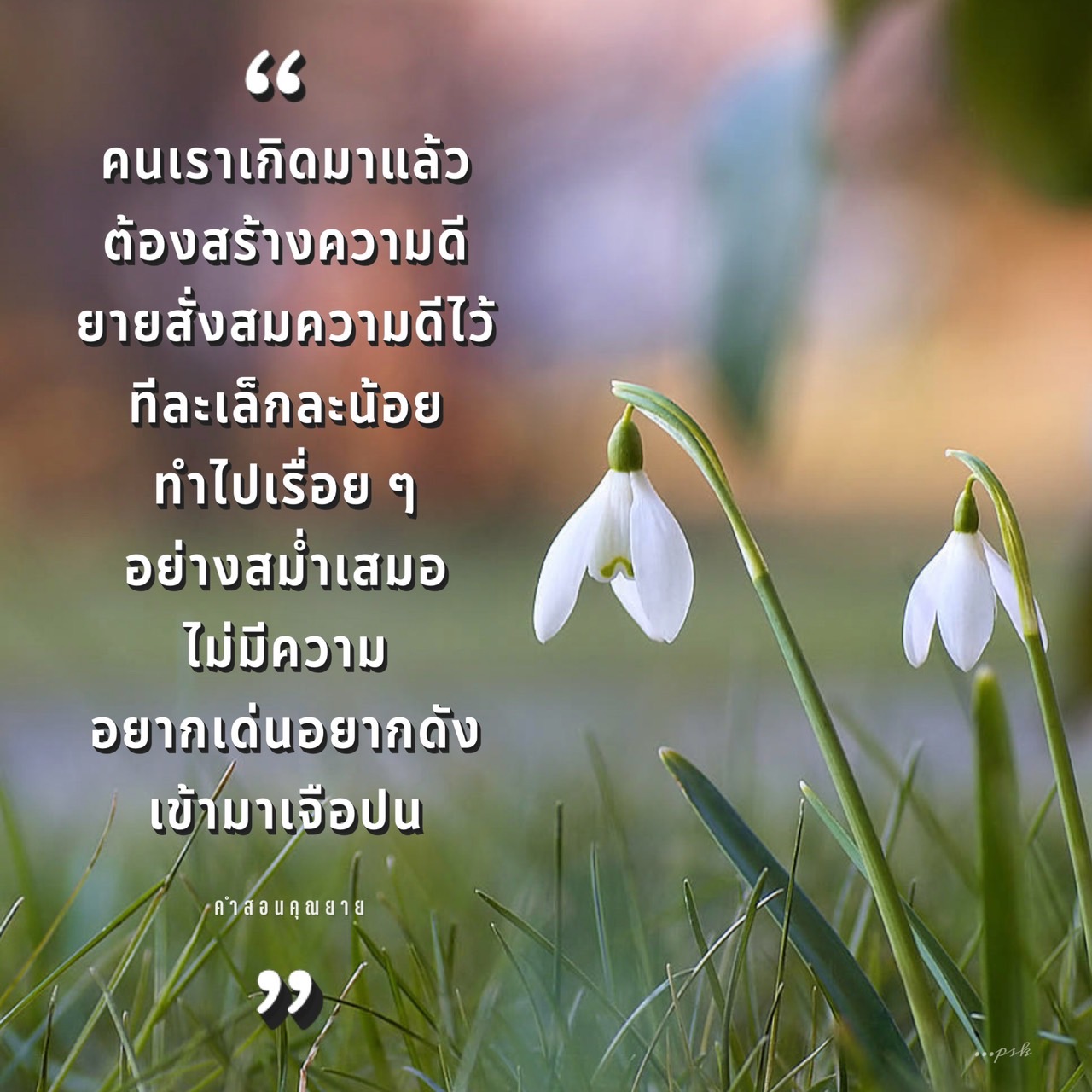 บทความนี้พูดถึงความสำคัญของการสร้างความดีในชีวิตประจำวัน โดยมีแนวทางจากคำสอนของคุณยาย ที่สอนให้ทำความดีทีละเล็กละน้อยอย่างสม่ำเสมอ เพื่อสร้างชีวิตที่มีคุณค่าและมีความหมาย