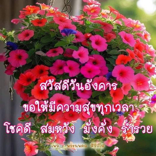 การ์ด No.10901:ภาพสวัสดียามเช้า