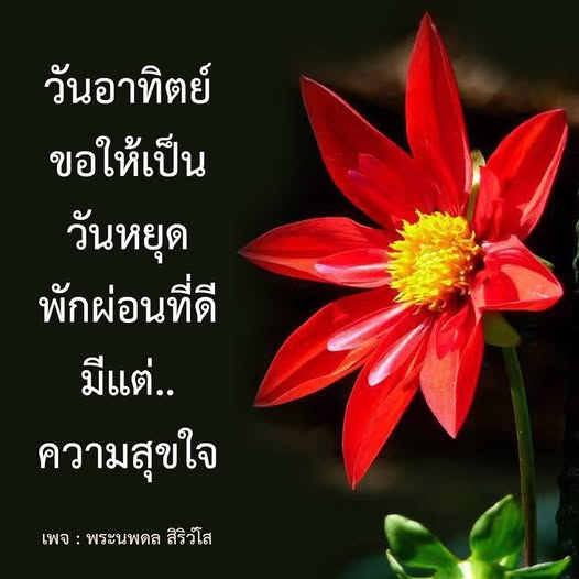 การ์ด No.12143:ภาพสวัสดียามเช้า
