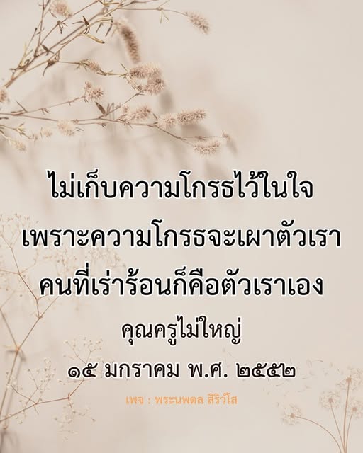 เรียนรู้วิธีการไม่เก็บความโกรธไว้ในใจจากคำสอนของคุณครูไม่ใหญ่ เพื่อเสริมสร้างจิตใจที่สงบและมีสุขภาพดี