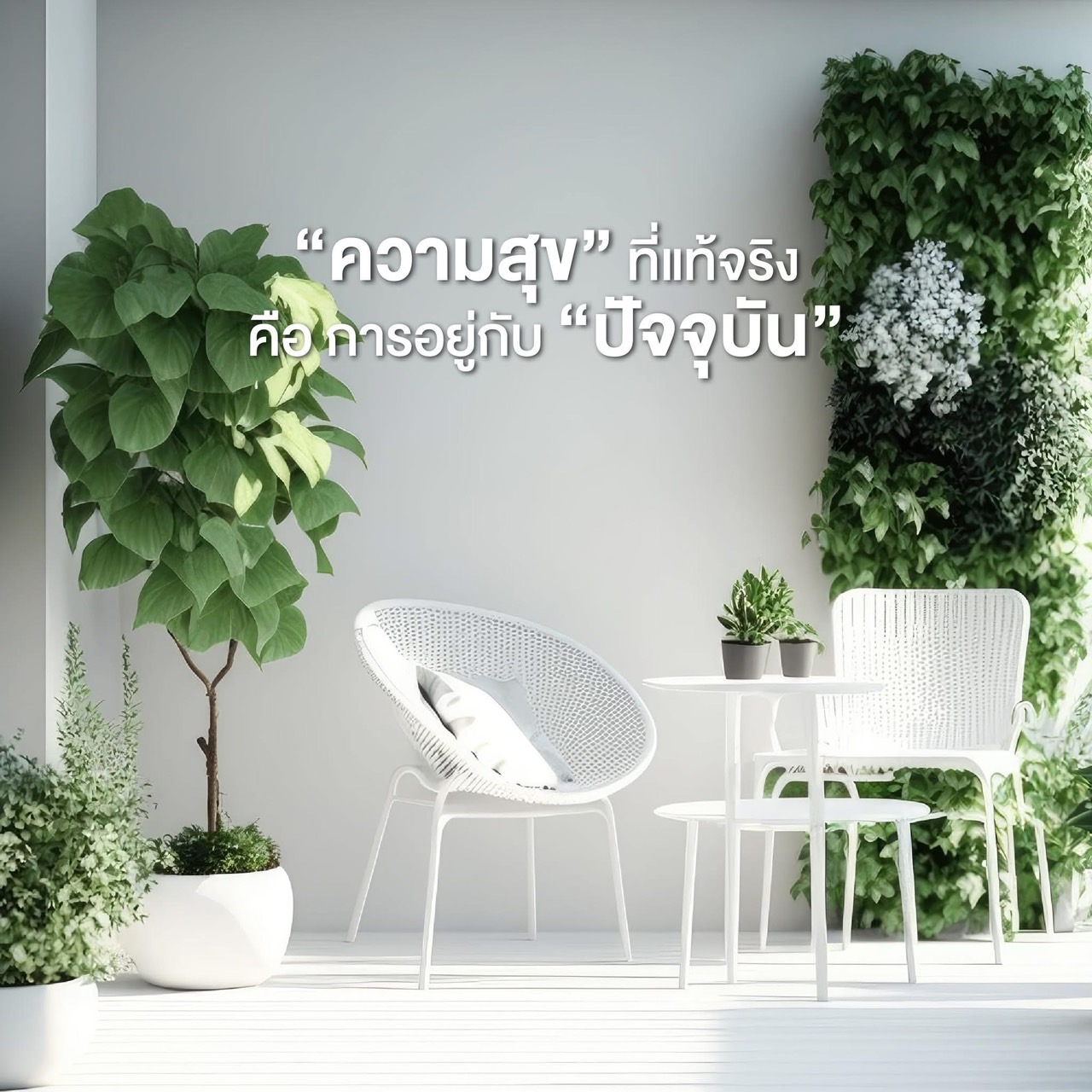 การ์ด No.15848:ทั่วไป