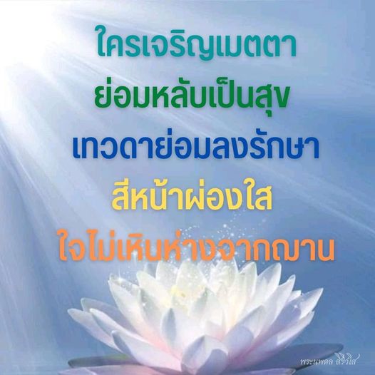 การ์ด No.11227:พระนพดล สิริวํโส