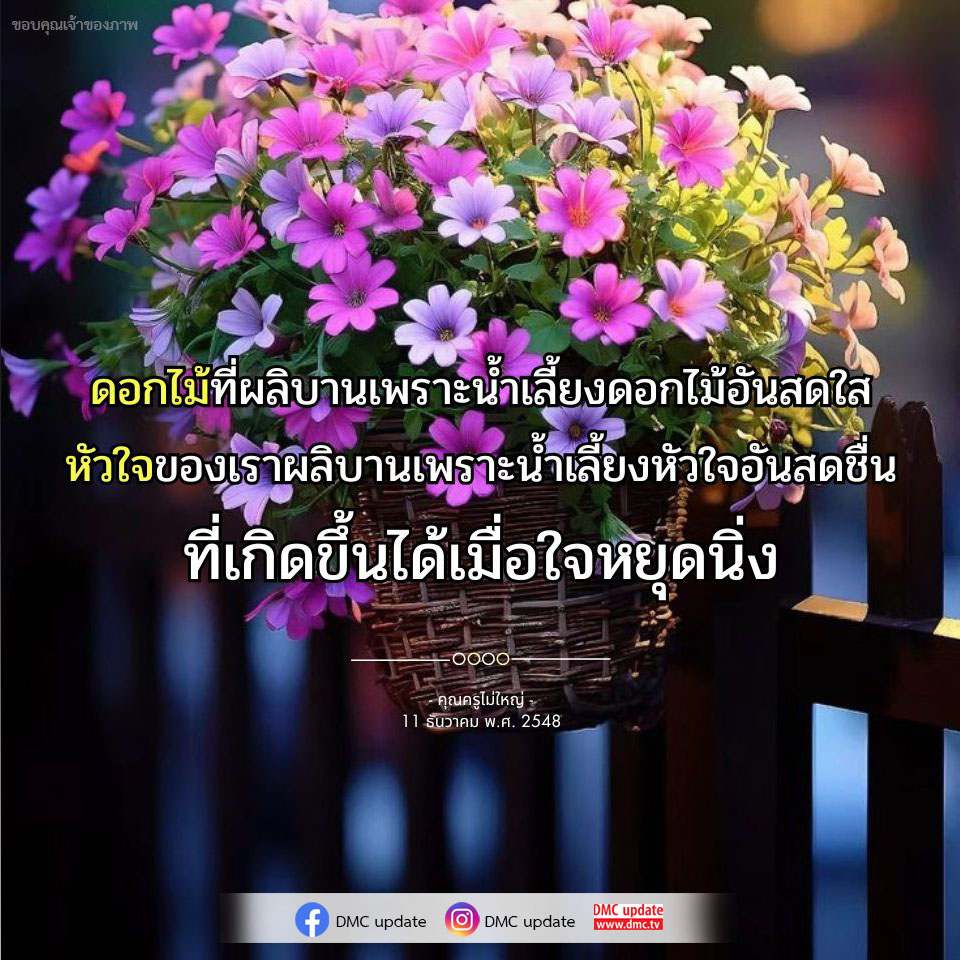 สำรวจความสัมพันธ์ระหว่างดอกไม้ที่ผลิบานและหัวใจที่เติบโตจากน้ำเลี้ยงแห่งความสดใส พร้อมบทเรียนจากคุณครูไม่ใหญ่ในวันที่ 11 ธันวาคม พ.ศ. 2548