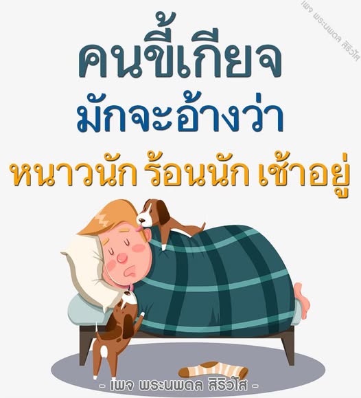 การ์ด No.11888:พระนพดล สิริวํโส