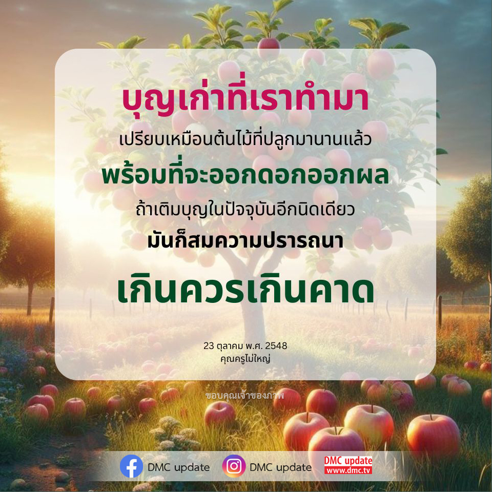 สำรวจแนวคิดเกี่ยวกับบุญเก่าที่เราทำมา เปรียบเทียบกับต้นไม้ที่เติบโตและพร้อมออกผล พร้อมแนะนำวิธีการเติมบุญในปัจจุบันเพื่อให้สมความปรารถนาและเกินคาดในชีวิต