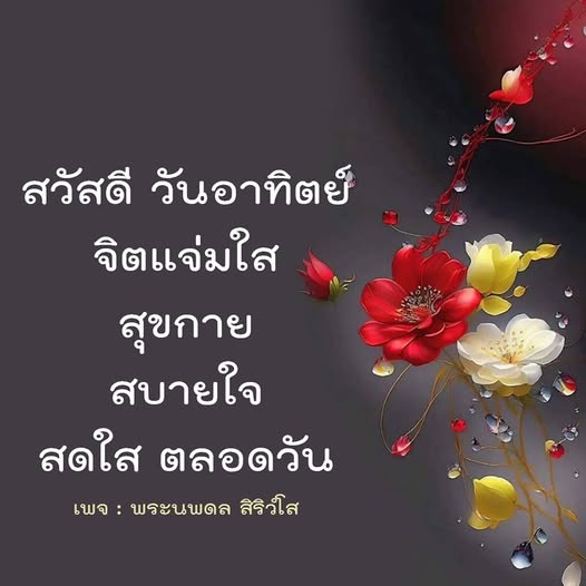 การ์ด No.11652:ภาพสวัสดียามเช้า