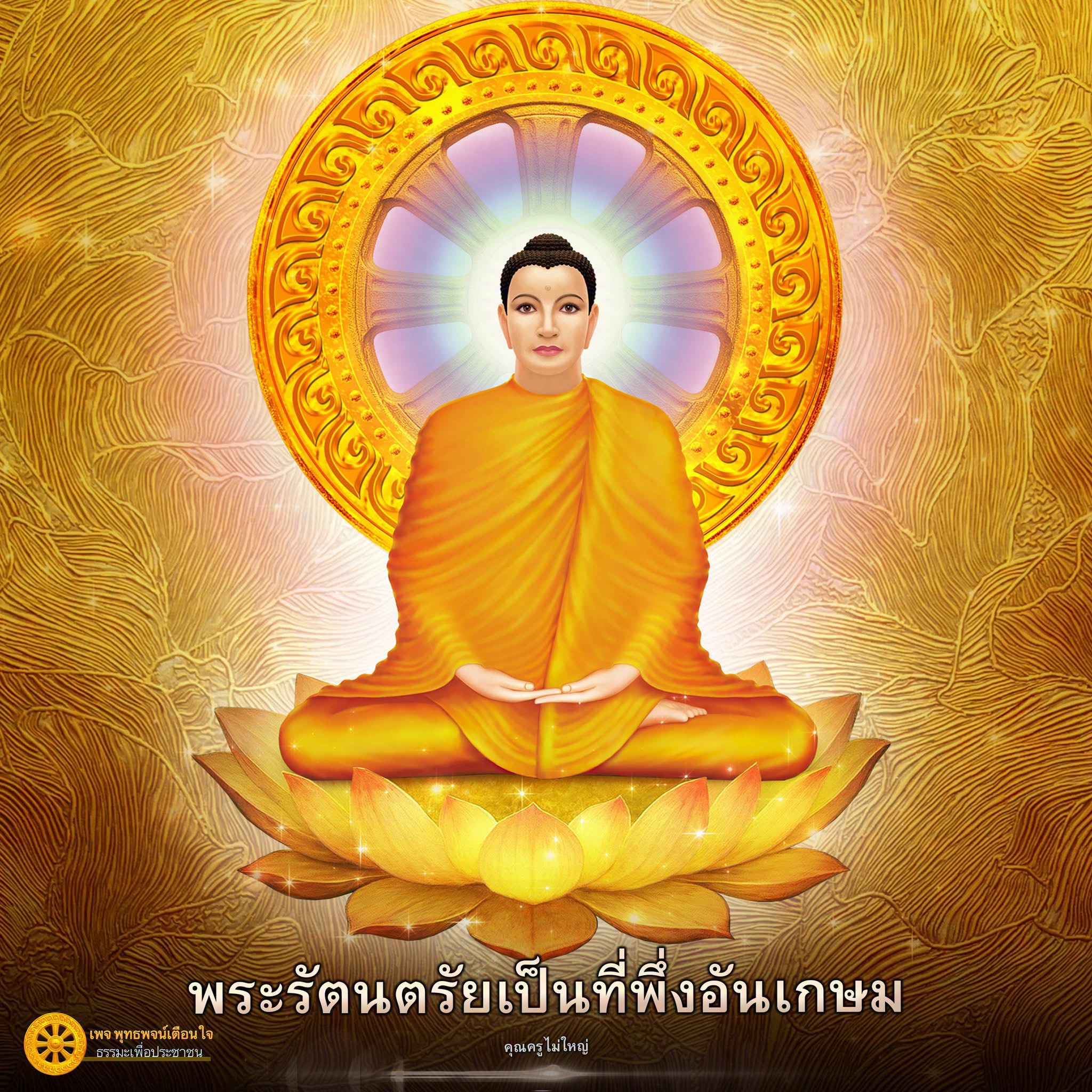 ภาพ No.17666:undefined