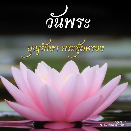 การ์ด No.8690:วันพระ