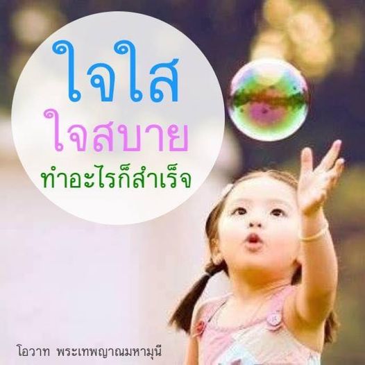 การ์ด No.8514:พระนพดล สิริวํโส
