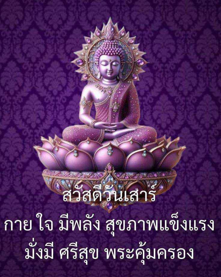 การ์ด No.13931:ภาพสวัสดียามเช้า