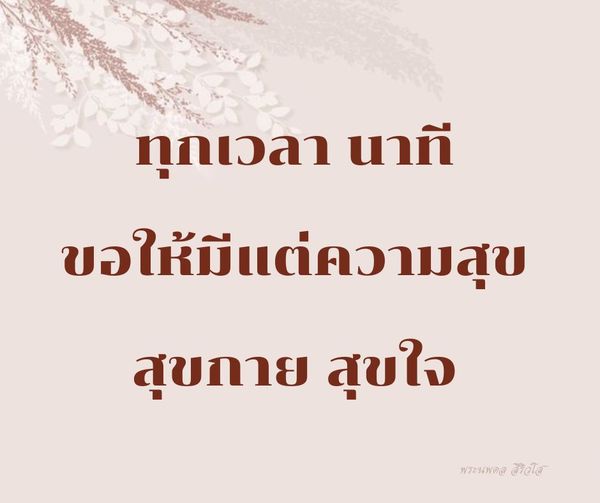 การ์ด No.11431:พระนพดล สิริวํโส