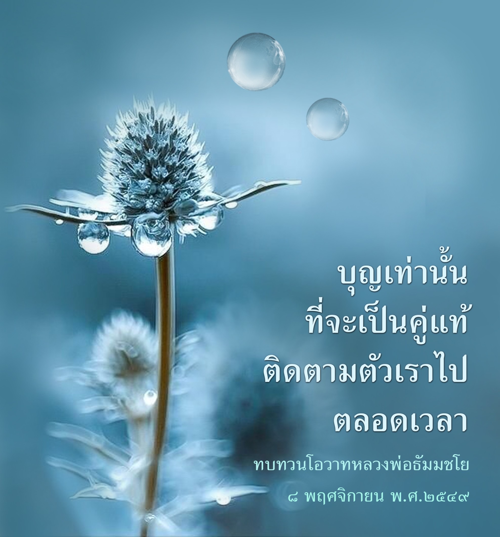 การ์ด No.8605:คำสอนหลวงพ่อธัมมชโย