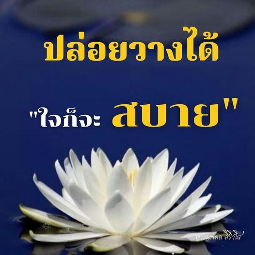 การ์ด No.11188:พระนพดล สิริวํโส