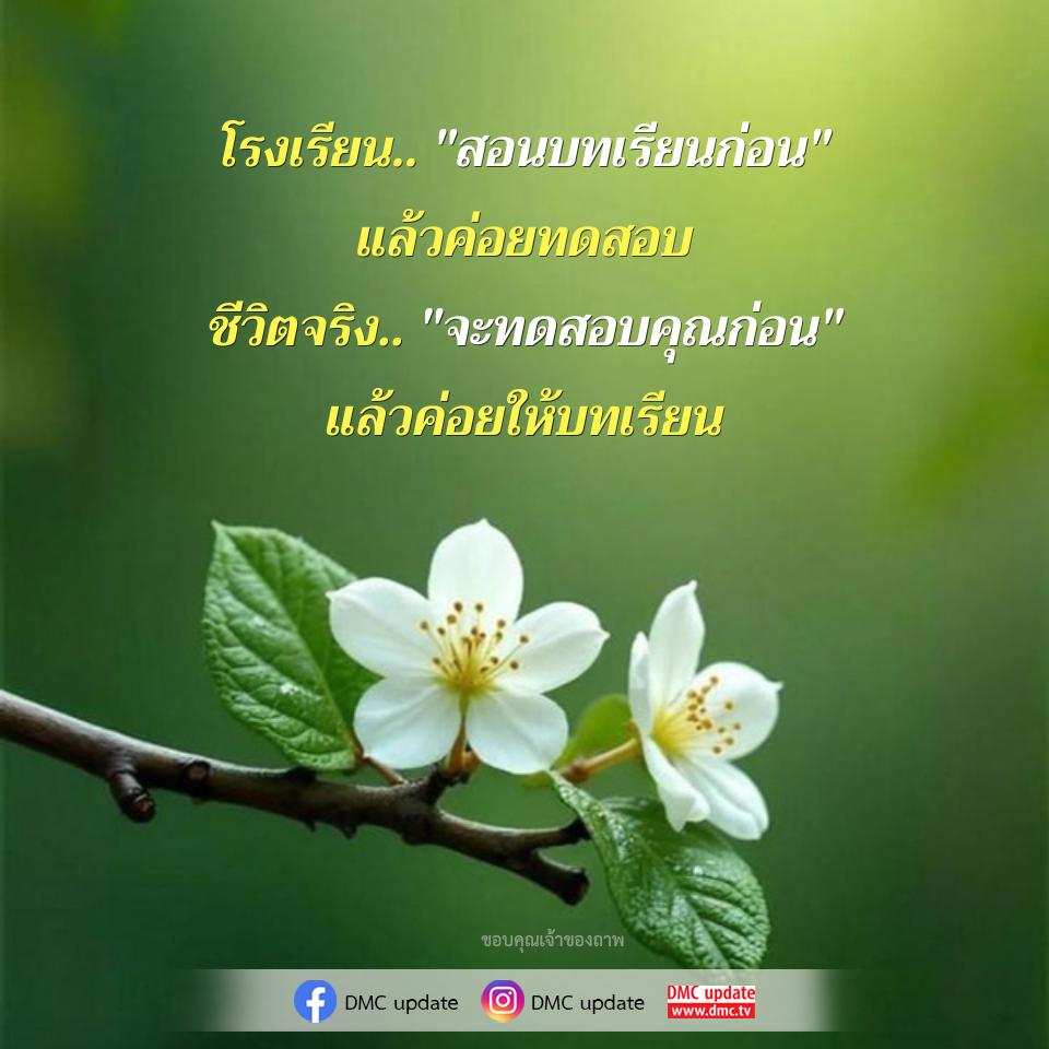 โรงเรียนสอนบทเรียนก่อนการทดสอบ | DMC Update