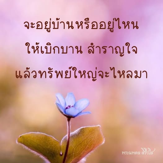 การ์ด No.14157:พระนพดล สิริวํโส