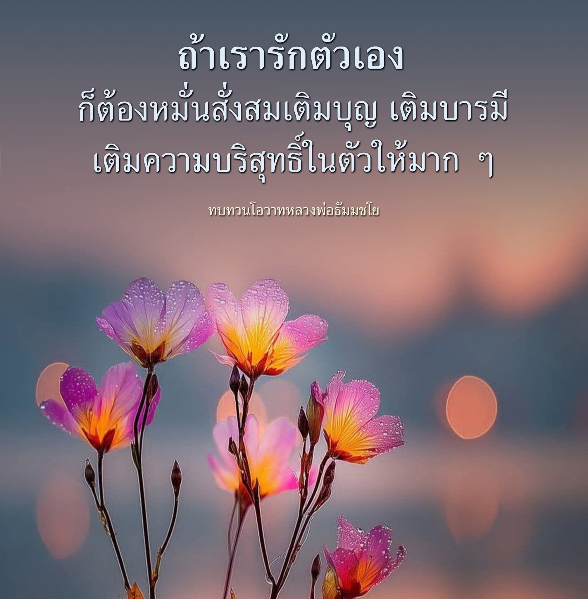 การรักตัวเอง: เติมบุญและบารมีตามโอวาทหลวงพ่อธัมมชโย