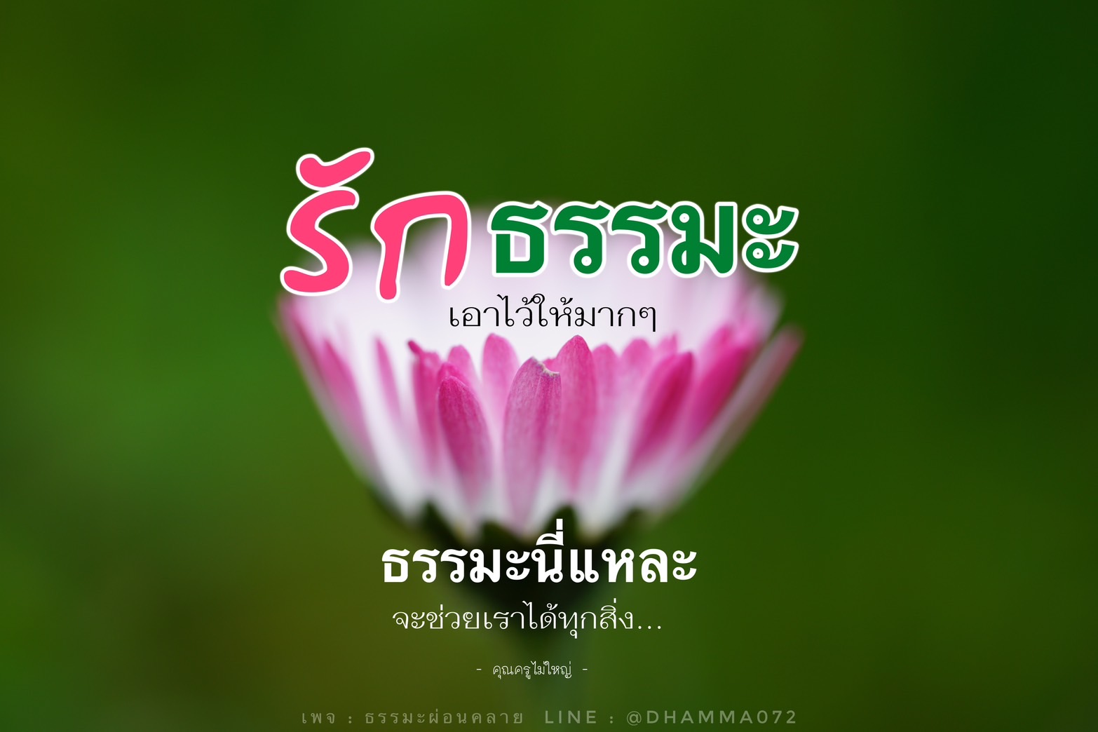 ธรรมะ: ความรักและความสงบใจ