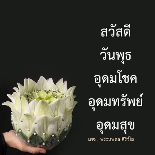 การ์ด No.8426:ภาพสวัสดียามเช้า