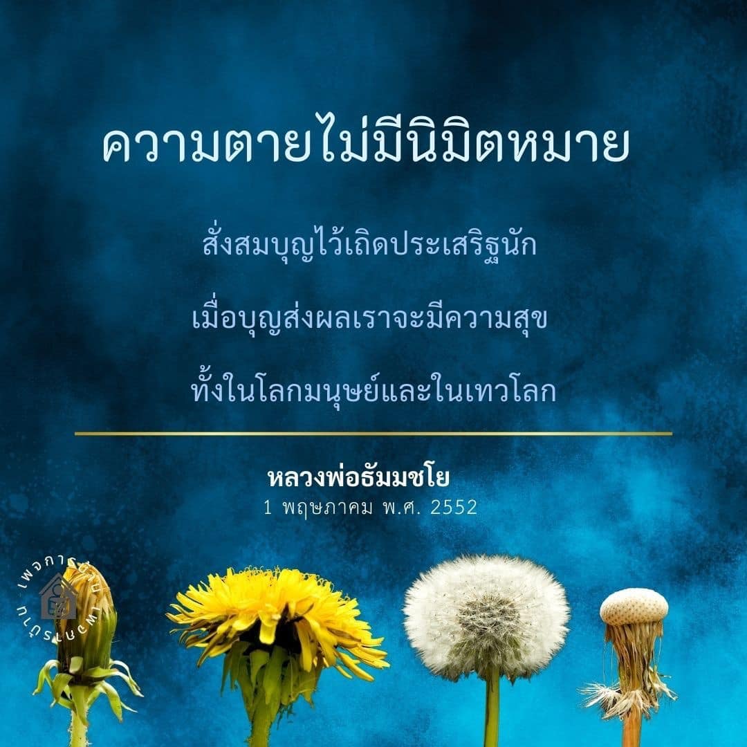 บทความเกี่ยวกับความตายและการสั่งสมบุญตามคำสอนของหลวงพ่อธัมมชโย ที่ชี้ให้เห็นถึงความสำคัญของการทำบุญเพื่อให้เกิดความสุขในชีวิตนี้และในโลกหน้า