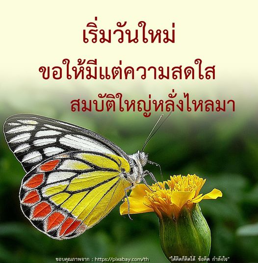 เริ่มต้นวันใหม่อย่างสดใสด้วยข้อคิดและกำลังใจที่ช่วยเติมเต็มแรงบันดาลใจในชีวิต พร้อมรับสมบัติใหญ่หลั่งไหลมาในทุกๆ วัน