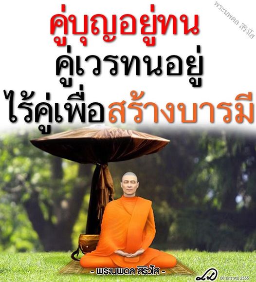 การ์ด No.11050:พระนพดล สิริวํโส