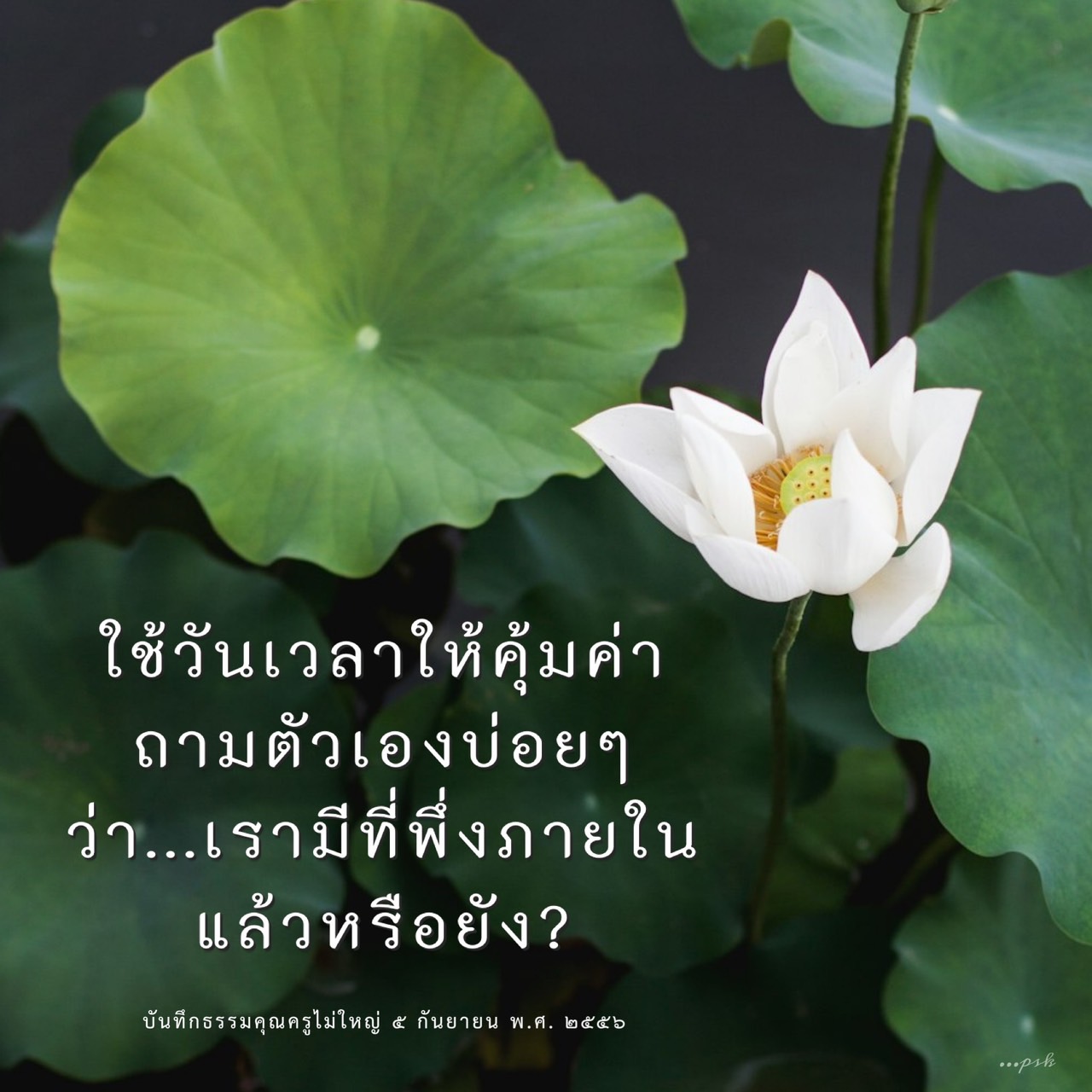 เรียนรู้วิธีการใช้วันเวลาให้คุ้มค่าและค้นหาที่พึ่งภายในตนเอง ผ่านบันทึกธรรมจากคุณครูไม่ใหญ่ เพื่อเสริมสร้างพัฒนาการส่วนบุคคลและจิตใจ