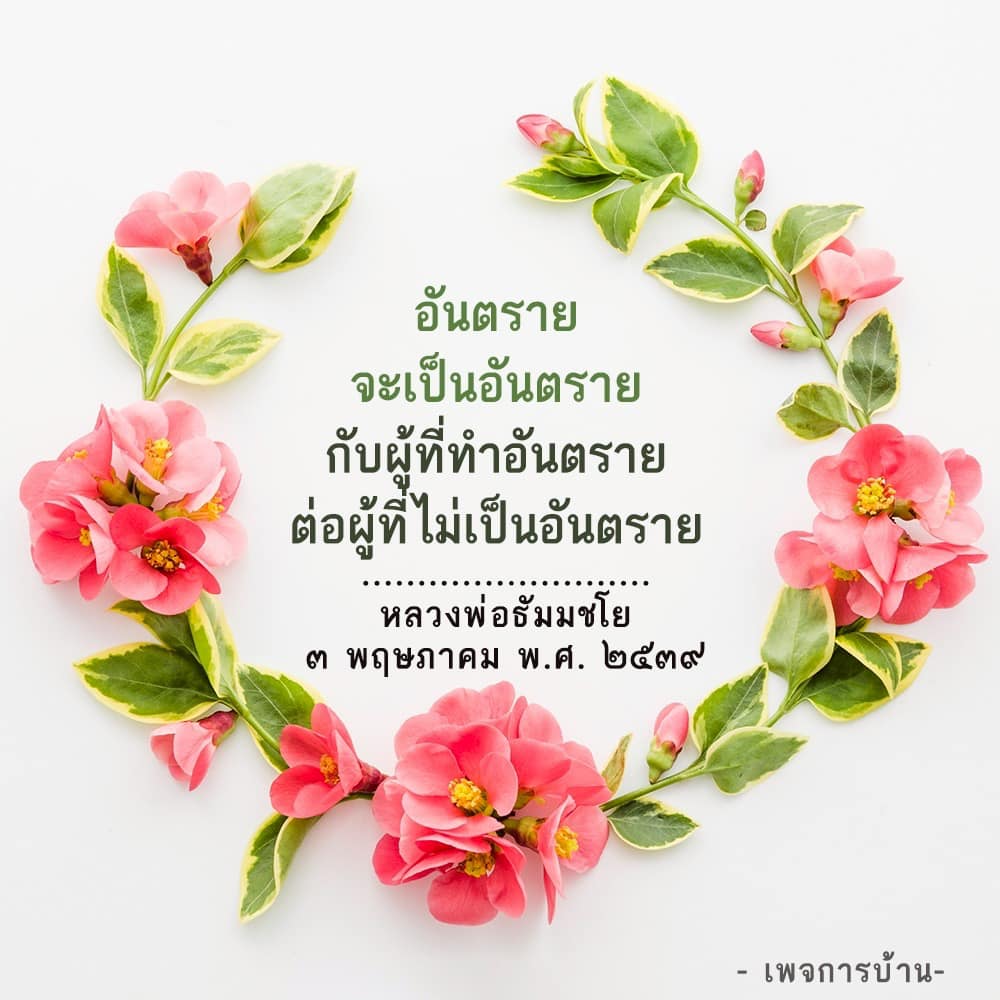ภาพ No.16495:ทั่วไป