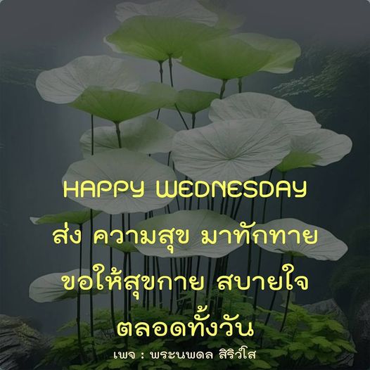 การ์ด No.9780:ภาพสวัสดียามเช้า