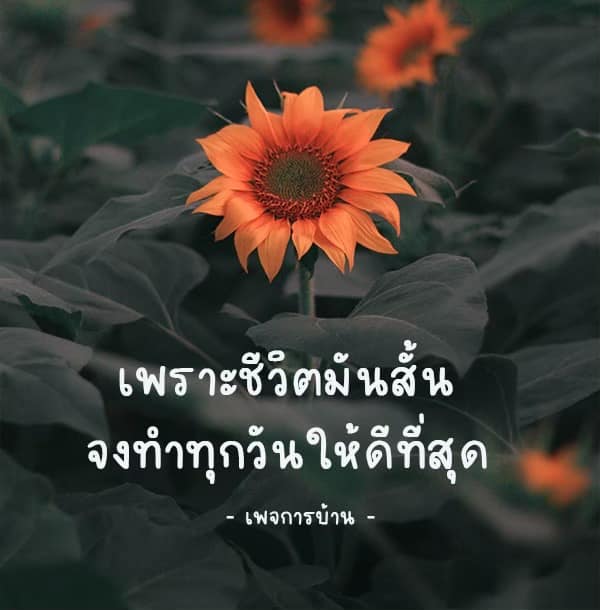 การ์ด No.13467:คติคำคม ข้อคิดสอนใจ