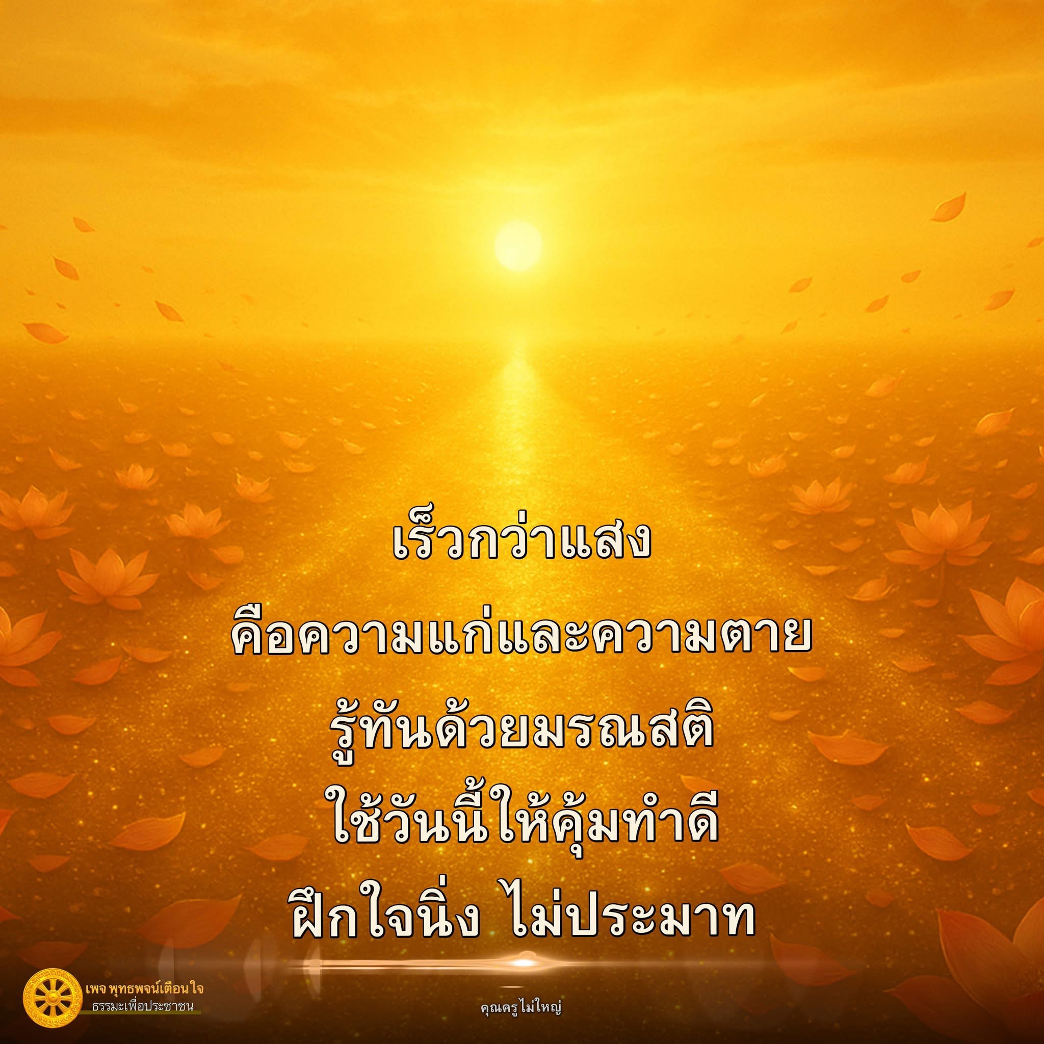 ภาพ No.16623:ทั่วไป