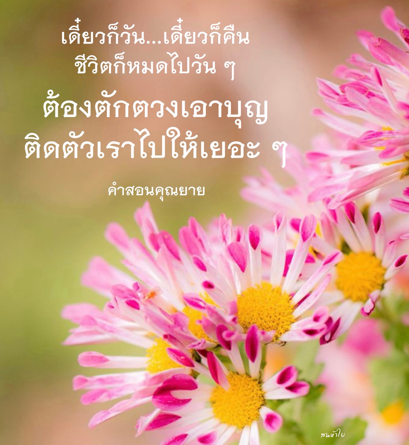 ค้นพบคําสอนจากคุณยายเกี่ยวกับการตักตวงบุญในชีวิตประจำวัน เพื่อให้ชีวิตมีความหมายและเติมเต็มด้วยบุญกุศลที่เราสามารถนำติดตัวไปได้