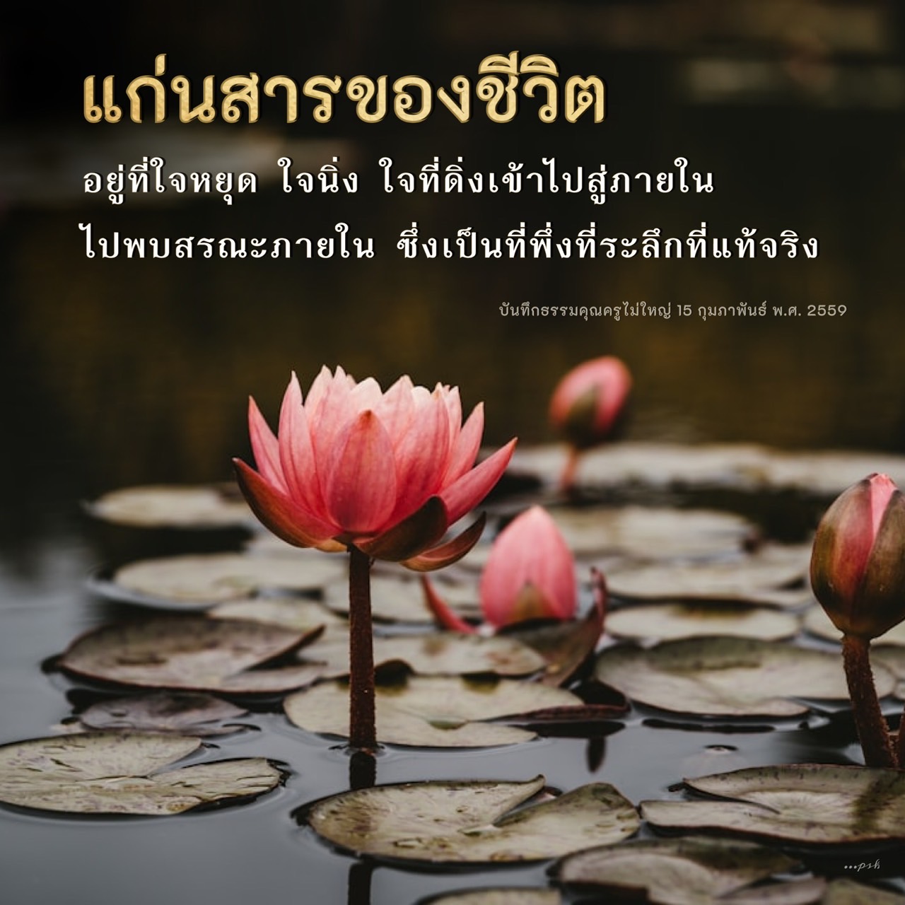 ค้นพบแก่นสารของชีวิตผ่านการฝึกใจหยุดและใจนิ่ง เพื่อเข้าถึงสรณะภายในที่เป็นที่พึ่งที่แท้จริง บทความนี้จะนำเสนอแนวทางในการพัฒนาจิตใจและความสงบภายในตามหลักธรรมของคุณครูไม่ใหญ่