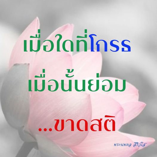 การ์ด No.11286:พระนพดล สิริวํโส