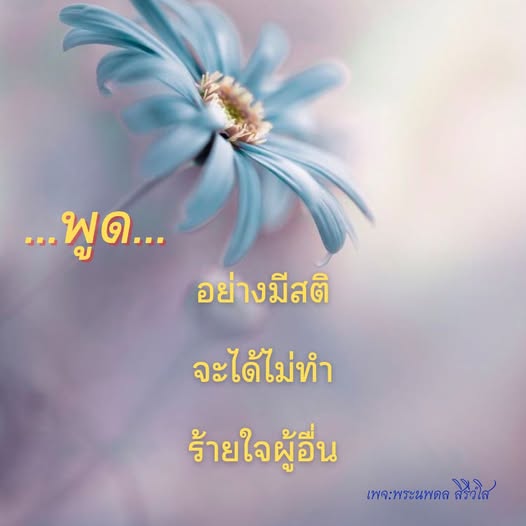 การ์ด No.12070:พระนพดล สิริวํโส