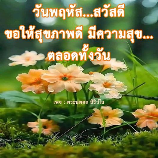 การ์ด No.8784:ภาพสวัสดียามเช้า