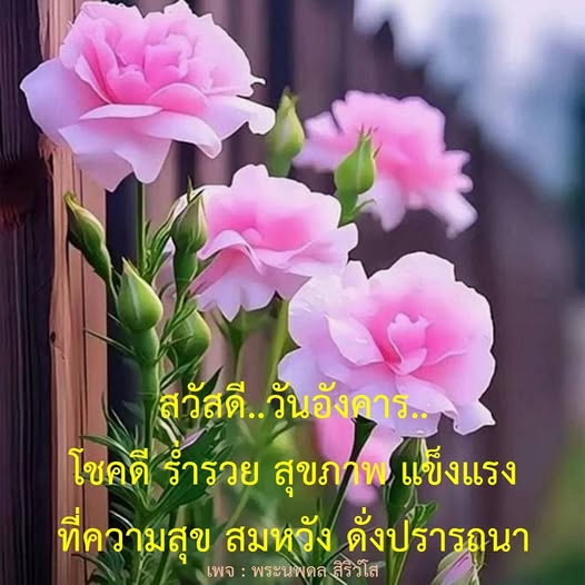 พบกับความสุขและโชคลาภในวันอังคารนี้ที่เพจพระนพดล สิริวํโส พร้อมแนะนำวิธีเสริมโชคดีและสุขภาพแข็งแรงให้คุณมีชีวิตที่สมหวังดั่งปรารถนา