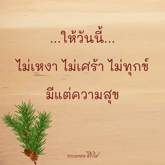 การ์ด No.14546:พระนพดล สิริวํโส