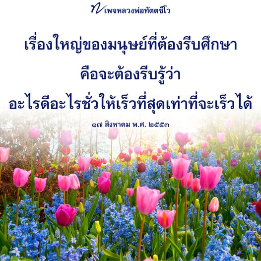 การ์ด No.9601:คำสอนหลวงพ่อทัตตชีโว