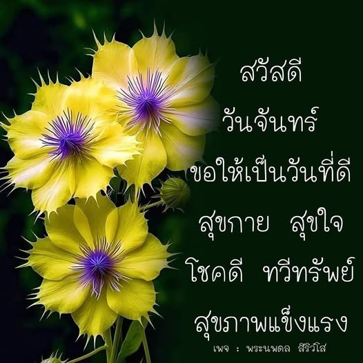การ์ด No.14228:ภาพสวัสดียามเช้า