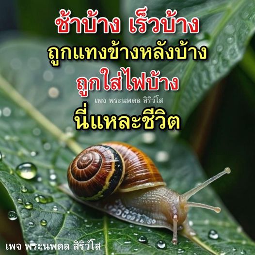 ติดตามเพจพระนพดล สิริวํโส ที่จะพาคุณสำรวจชีวิตที่มีทั้งความช้าและความเร็ว พร้อมกับเรื่องราวการถูกแทงข้างหลังและการถูกใส่ไฟ ที่จะทำให้คุณเข้าใจและเห็นคุณค่าของชีวิตมากยิ่งขึ้น