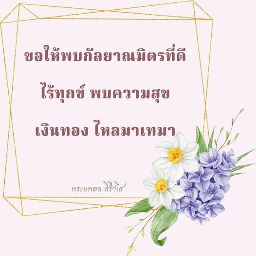 การ์ด No.9877:พระนพดล สิริวํโส