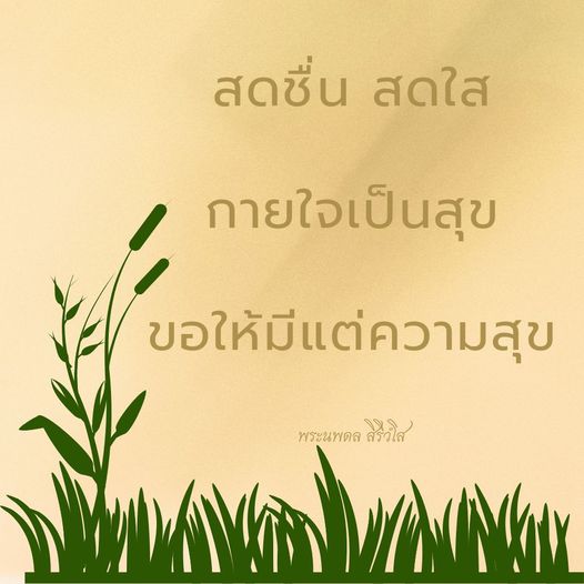 การ์ด No.10375:พระนพดล สิริวํโส