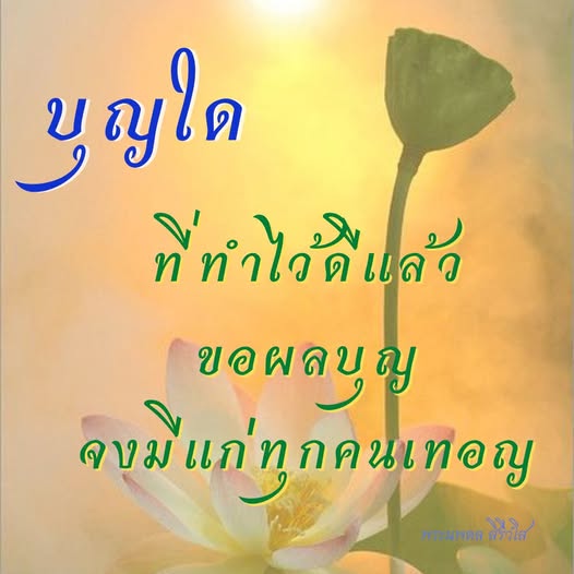 การ์ด No.11982:พระนพดล สิริวํโส
