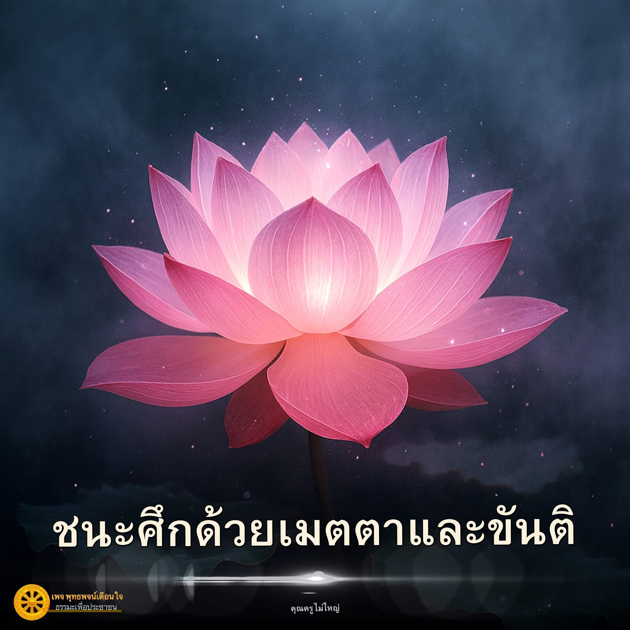 ภาพ No.16669:ทั่วไป