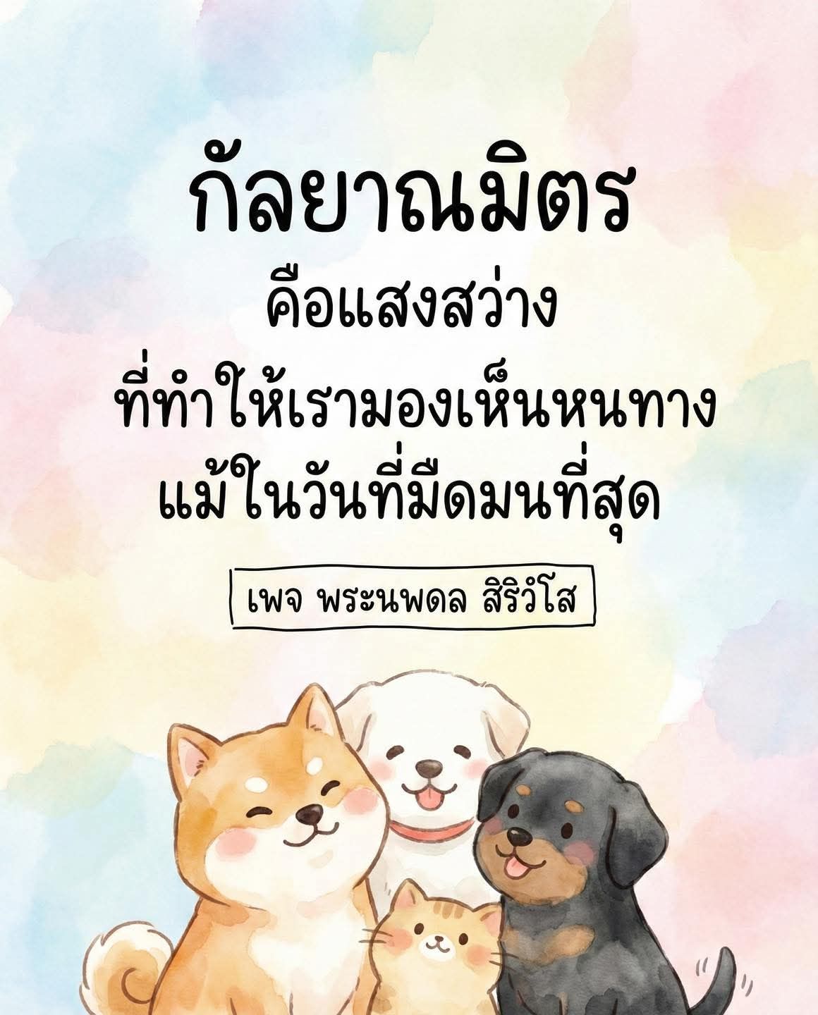 ภาพ No.16988:ทั่วไป
