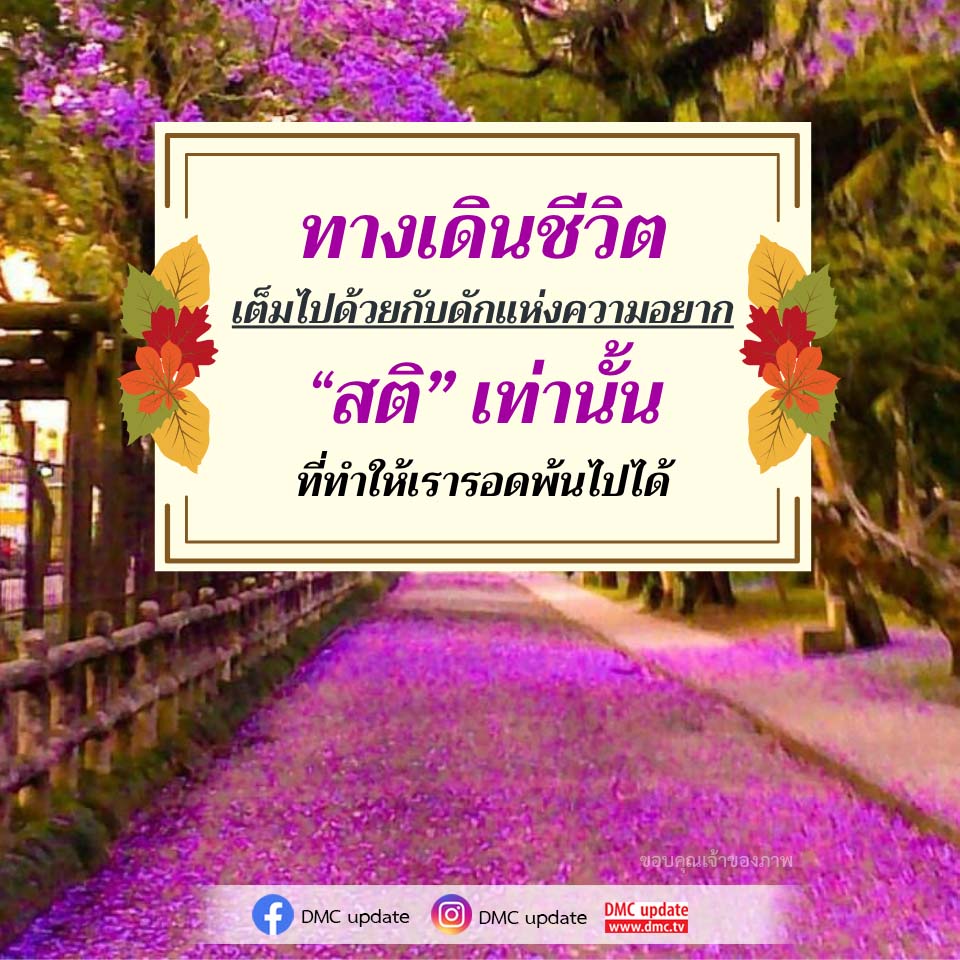 ภาพ No.16621:ทั่วไป
